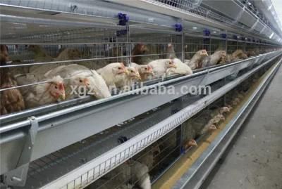 Layer Egg Chicken Cage Design for Layer