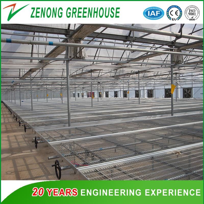 Good Quality Greenhouse Nursery Bed/Movable Seeding Bed/Rolling Bench