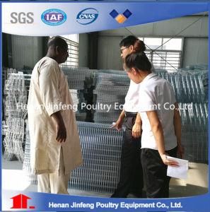 Design Automatic Feeding Drinking 120 Layers Poultry Chicken Cage for Sale