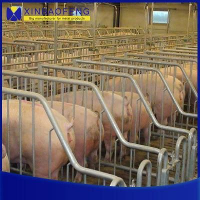 Philippines Piggery Equipment Pig Shed Design Sow Stall Farrowing Stall