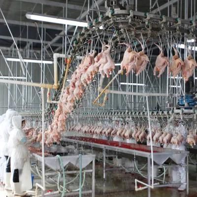 Qingdao Raniche Slautering Machinehalal Machine Processing Poultry Slaughtering Equipment Chicken