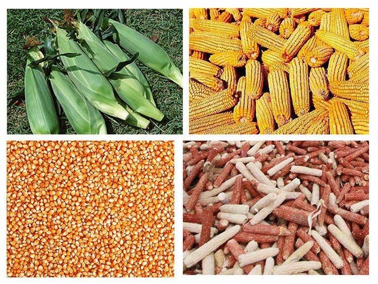 China New Design Corn Maize Sheller Corn Thresher Sheller