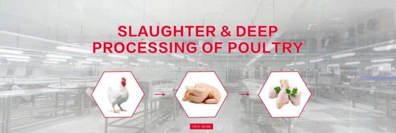 Slaughter Equipment Poultry Processing Chicken Slaughtering Equipment Slaughter Equipment Automatic Chicken Plucker Machine for Poultry Processing