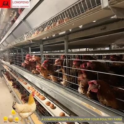 Most Advanced Technology, Low Egg Broken Rate Farms Poultry Farm Chicken Cage