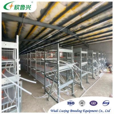 5 Tier 200 Birds Laying Hens Fowl Chicken Layer Animal Cage with Nipple