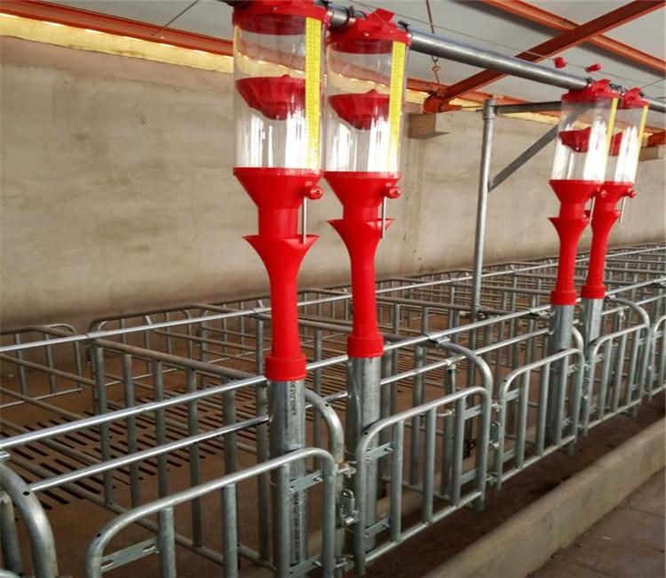 High Quality Chain Auger Conveying Pig Feeding System