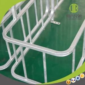Hot Selling Pig Farm Equipment Gestation Stalls with Good Price