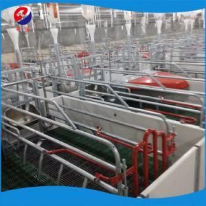 New Design Hot Galvanized Farrowing Crates for Pigs
