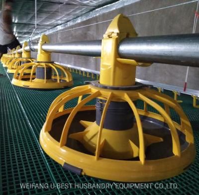 Made in China Poultry Farming Equipment for Broilers Products with Chicken Feeder and Drinker