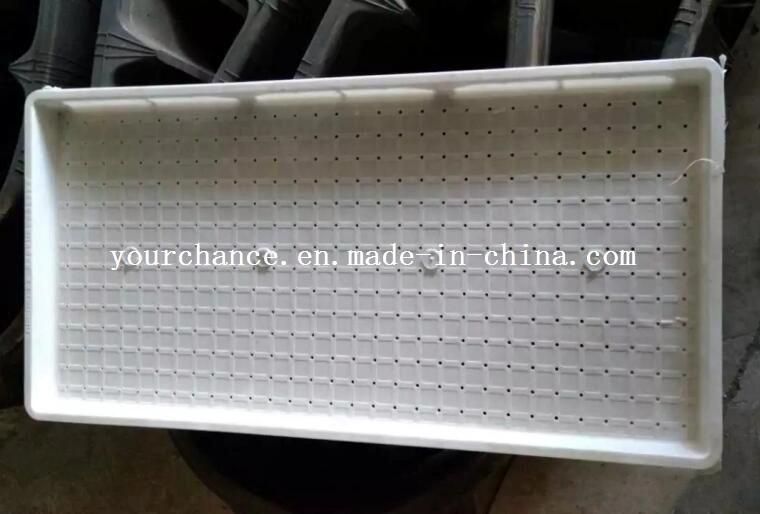 Hot Sale Hard Rice Nursery Tray in White Color Warranty 3 Years
