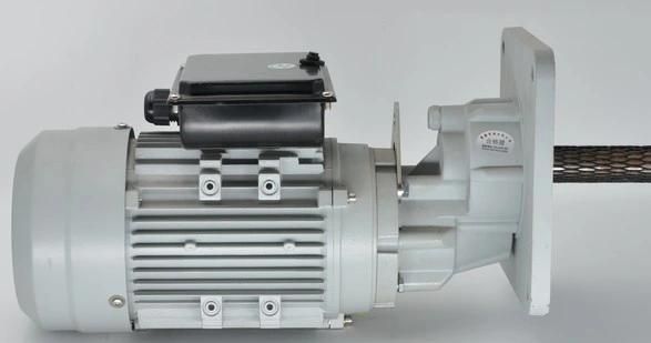 2021 Popular Sale Automatic Feeding Chicken House