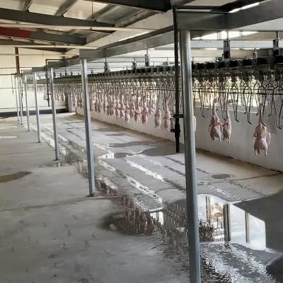 100-1000bph Chicken Abattoir Slaughter Equipment