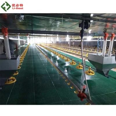 Automatic Poultry Equipment/Chicken Farm Equipment/Complete Broiler Farming System
