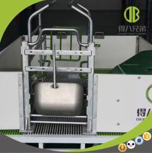 Reversible Farrowing Crate with Good Price