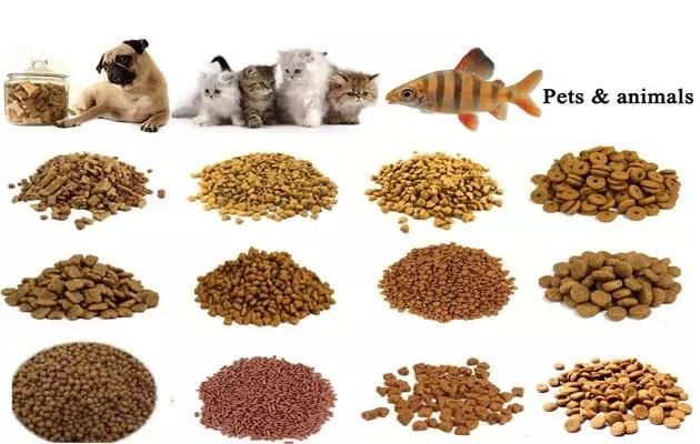 320-350kg/H Animal Dog Cat Pet Feed Pellets Machine Floating Fish Feed Pellet Making Machine Extruder