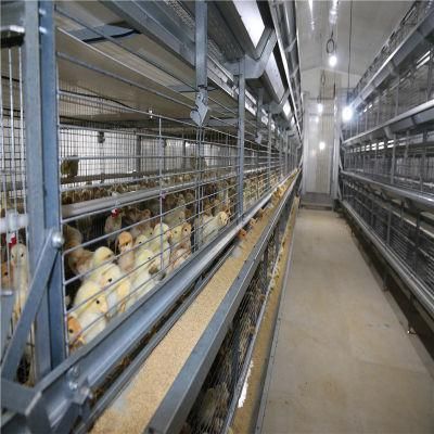High Quality High Output Steel Structure Chicken House Poultry Farm