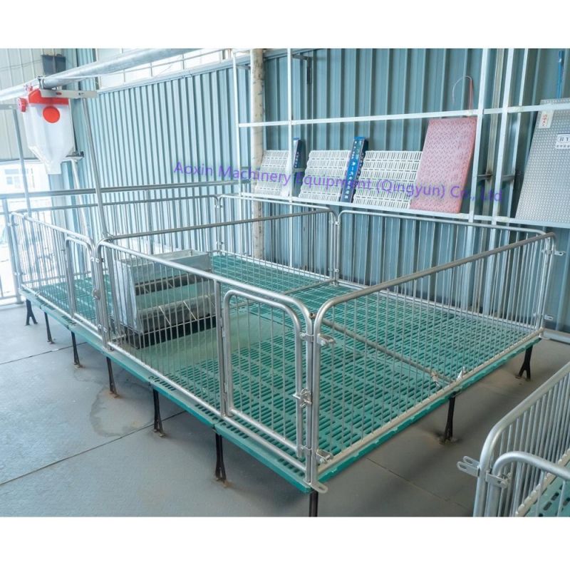 Hot Sale Sow Gestation Fence Livestock Piggery Machinery