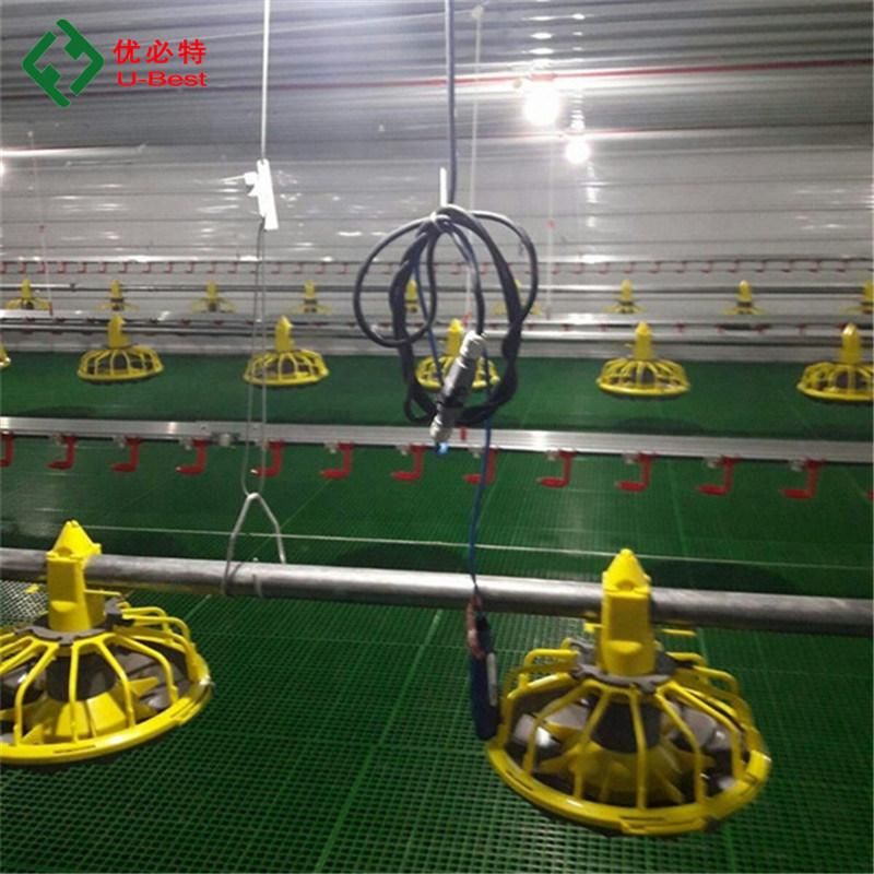 Chicken Broiler Poultry Farm Equipment Chicken Feeding Equipment /Poultry Breeding Equipment