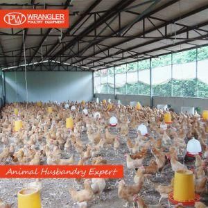 Africa High Quality Plastic Chicken Feeders for Poultry Farm Equipment