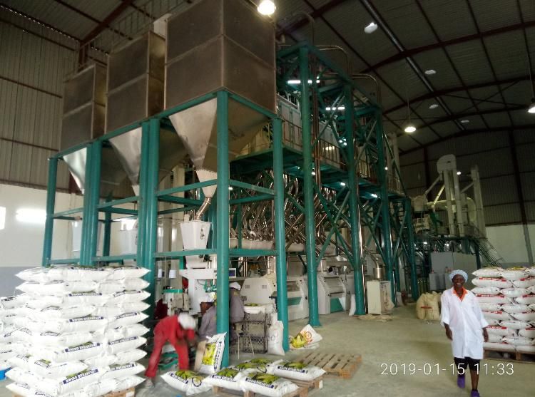 Automatic Maize Flour Milling Maize Meal Machines for Harare Zimbabwe