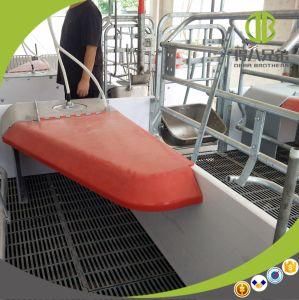 Pig Farm Equipment Hot DIP Galvanized Farrowing Crate