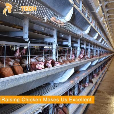Animal Husbandry Poultry Farming Equipment Battery Chicken Cage