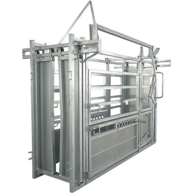 Powder Coated or Galvanized Cattle Chute with Weight Scale