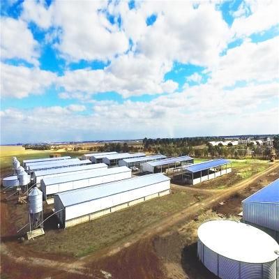 Quickly Built Factory Price Prefab/Prefabricated Stainless Steel Pig Shed