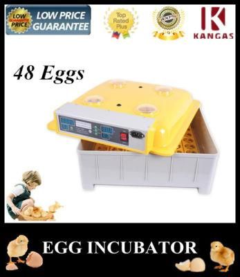 Hot Sale 48 Eggs Hatching Machine Automatic Temperature Control Egg Incubator