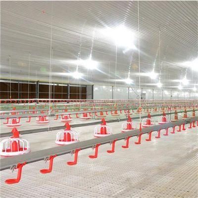 Top Sale Automatic Chicken Farm Equipment with Chicken Feeding and Drinking System