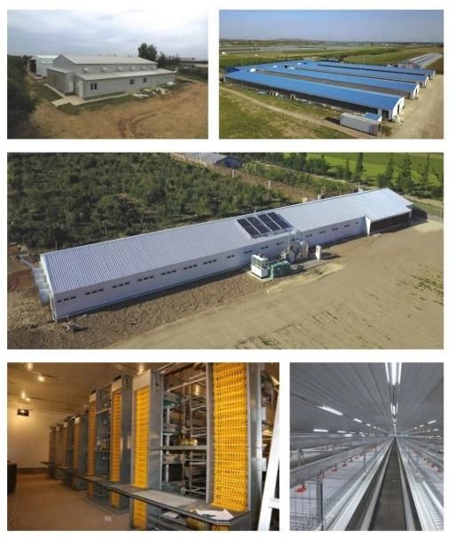 Prefabricated Steel Structure Poultry House