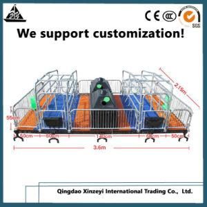 Premium Pig Equipment Farrowing Crate Supplier