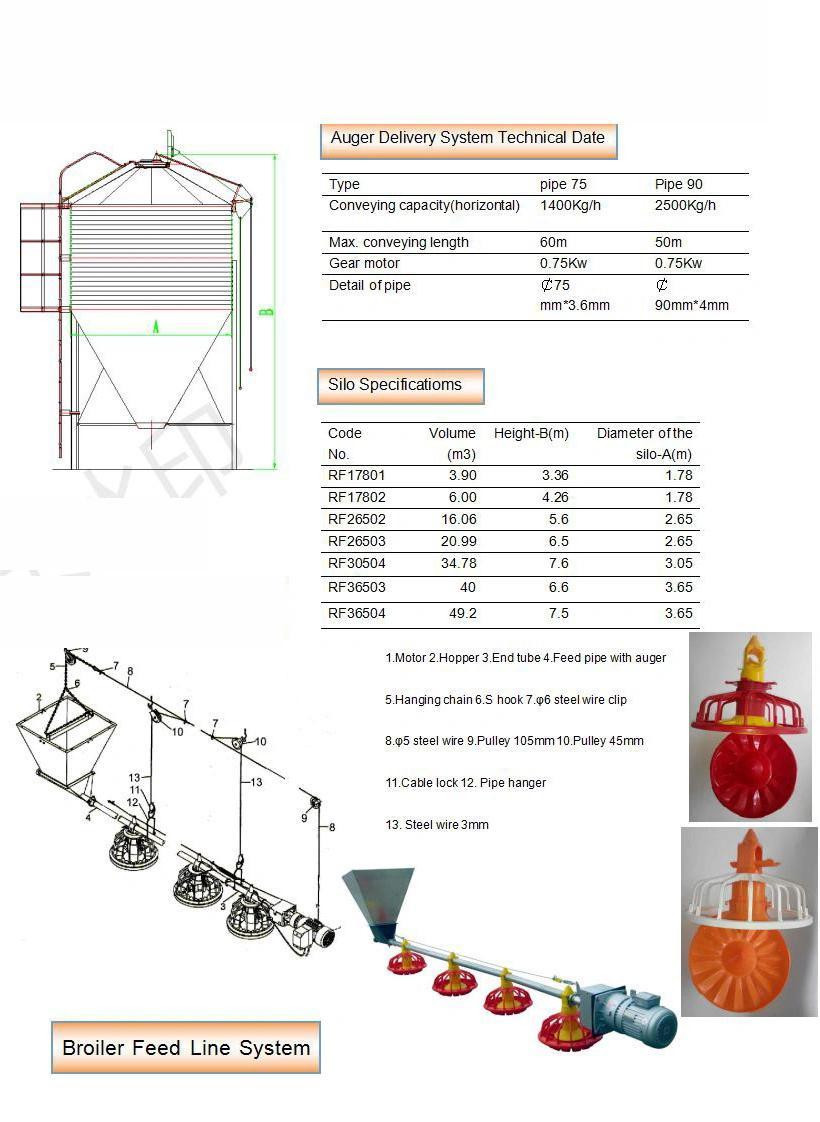 New Poultry Farm Automatic Baby Chicken Flat Raising Equipment