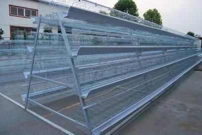 Chicken Cage Type a and Type H Multipurpose Poultry Raising Equipment