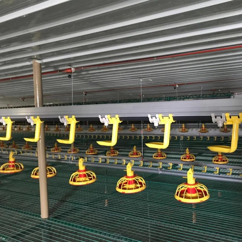 Modern Automatic Poultry Broiler Chicken Feeding Equipment System
