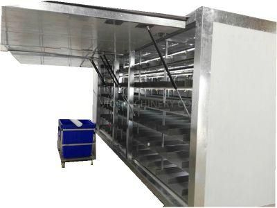 Full Auto Hydroponic Fodder Growing Systems Wtih 500kg/d