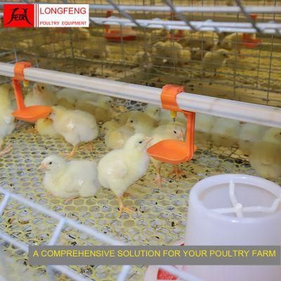 Chicken Local After-Sale Service in Asia Poultry Farm Layer Cages Broiler Cage