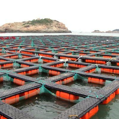 Floating Fish Farming PE Net Grow out Cages Aquaculture