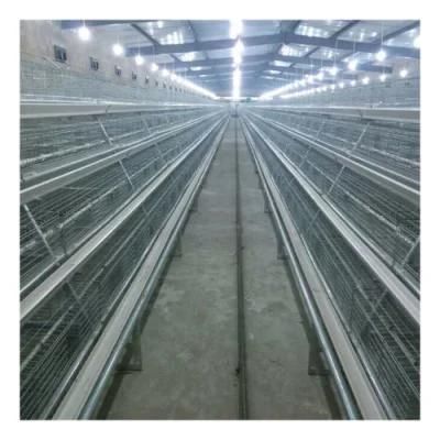 Chicken Cage Type a or H Poultry Raising Equipment