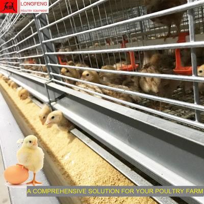 Fans and Cooling Pad Automatic on-Site Installation Instruction Factory Comprehensive Solution Poultry Farm Equipment
