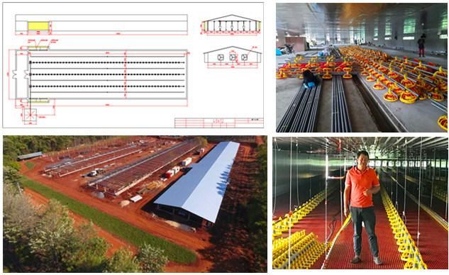 Climate Controlled Chicken Farm in Fiji with Silo Pan Feeding Line Nipple Drinking Line Cooling Pad Fan Heater Foggy System