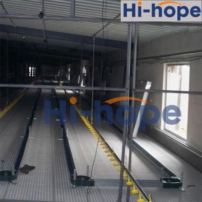 Hot Sale Modern Automatic Poultry Farming Breeder Equipment
