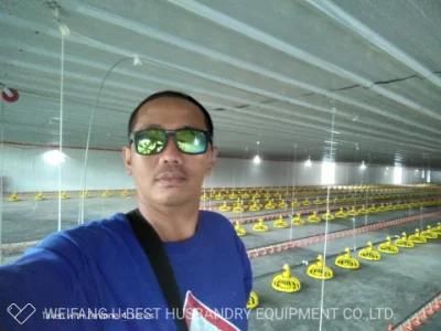 Plastic Floor Type Rearing Equipment for Chicken Farm From Weifang U-Best