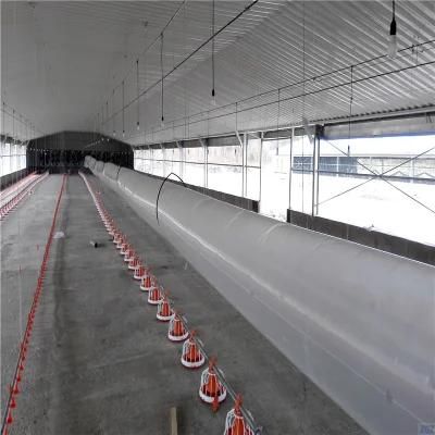 High Quality New Designed Full Automatic Agricultural Poultry Machine