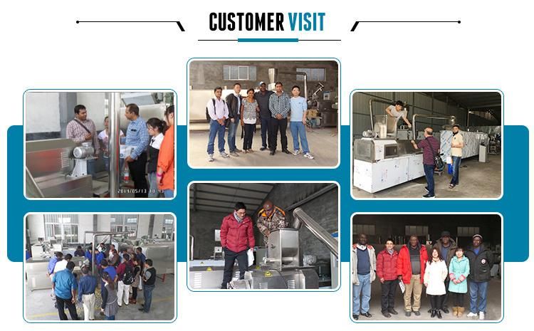 Floating Fish Feed Pellet Making Pet Dog Food Processing Machine