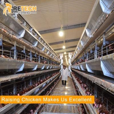 30000 layers H type chicken cage poultry farm equipment