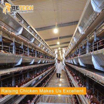 30000 layers H type chicken cage poultry farm equipment