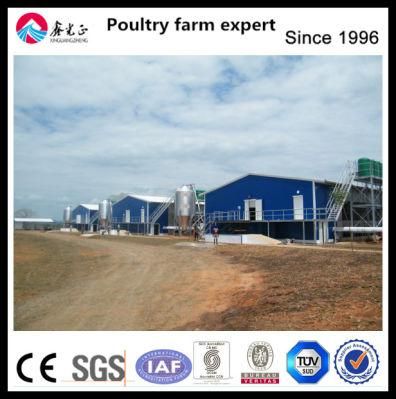 Hot Sale Chicken Broiler House Feeding Equipment