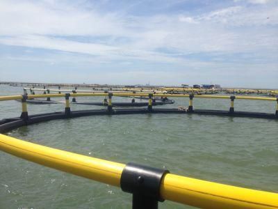 HDPE Floating Fish Cage with Mooring System in The Sea