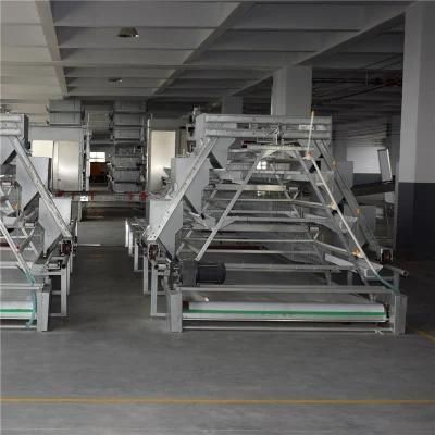 Full Automatic New Designed Technical Factory Price Poultry Farm Equipment